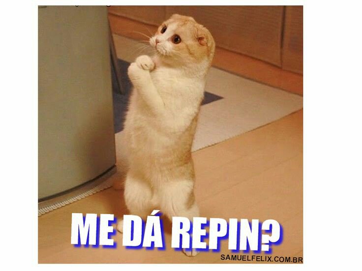 Boa noite  betas!!  Me ajudem por favor,  juntos somos mais fortes 
br.pinterest.com/brendaalvesalm…
#BetaQuerLab