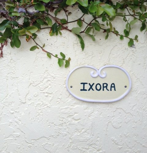 LemonTreeInn's tweet photo. Of course our rooms have names! #naplesFl #discoverfl #weloveplants https://t.co/htDUckpxy0