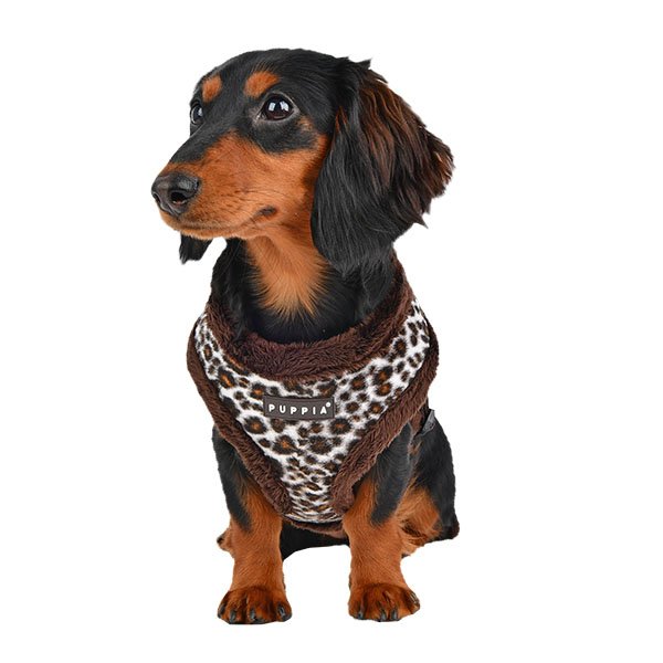 puppiaUS's tweet photo. New 2017 Fall and Winter Collection - Leonard Harness A - Available in Mid-September https://t.co/avBO2ieKPZ