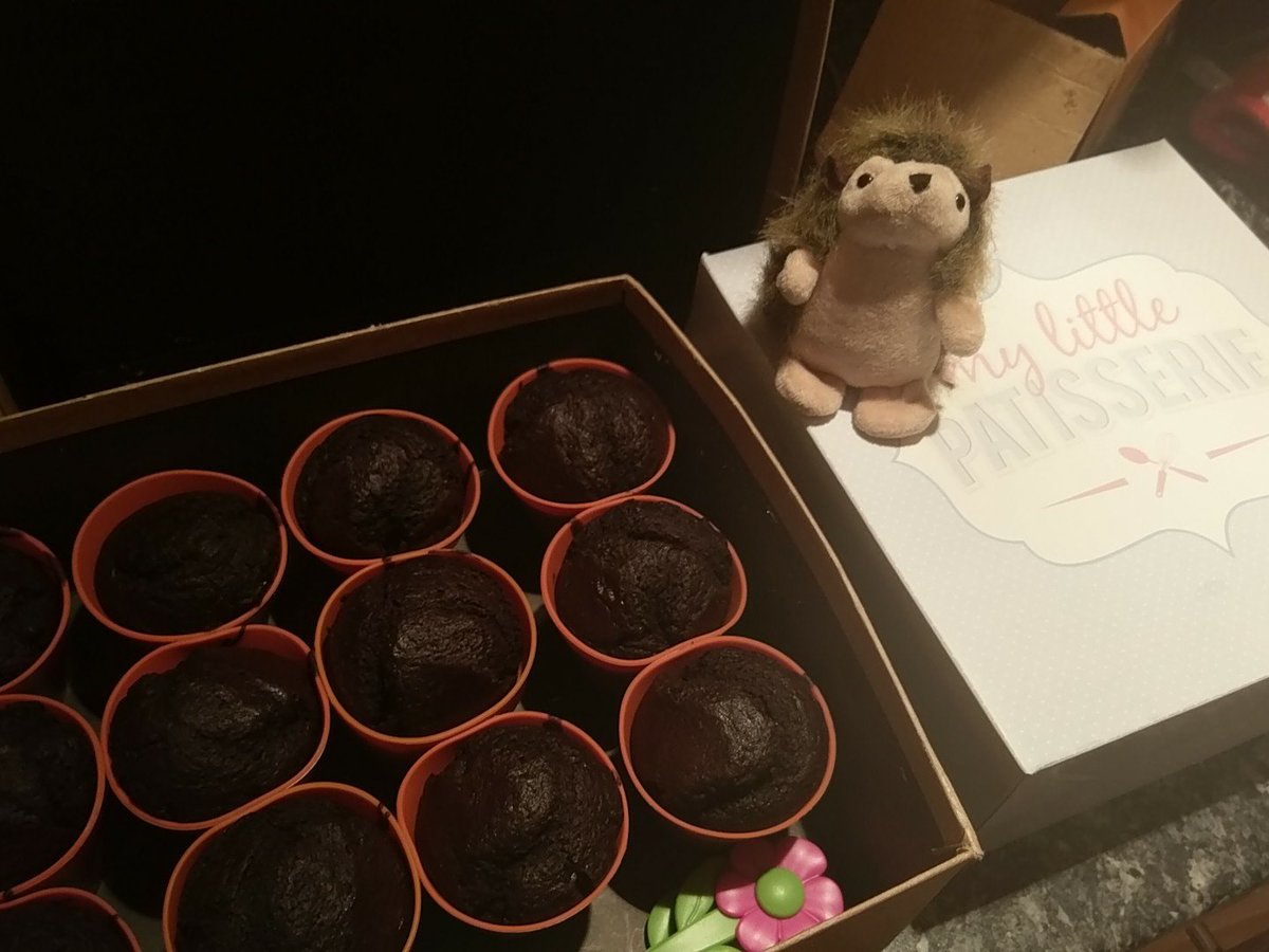 FuriouslyFree's tweet image. Such a sleepy hedgehog. But that's 3 types of cake made and a tart. All #glutenfree and #DairyFree

Happy hedgehogs are furiously #freefrom