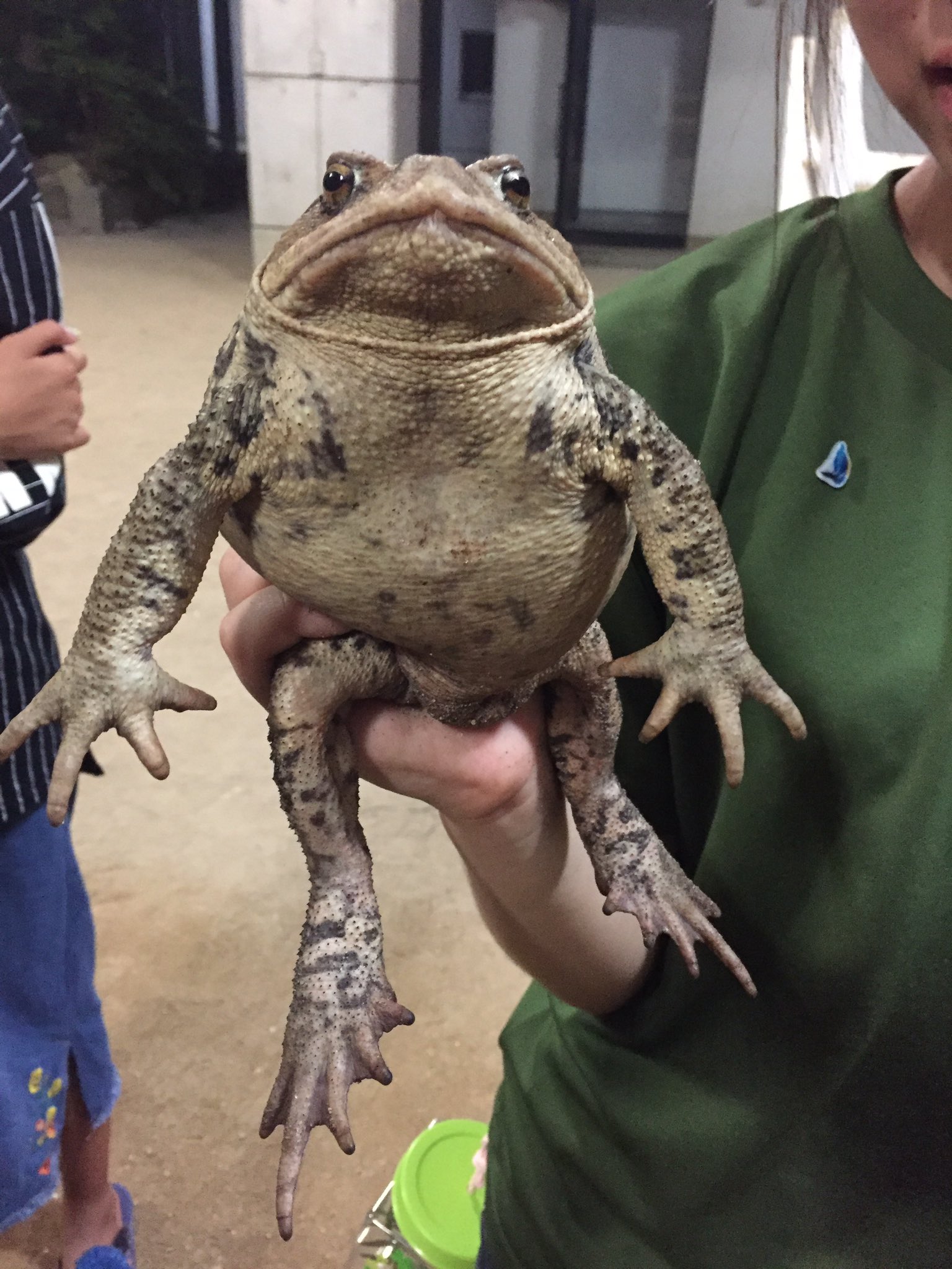 魚部クラファン8/3～実施【亀川温泉発！生き物好きによる「泉都」別府 ...