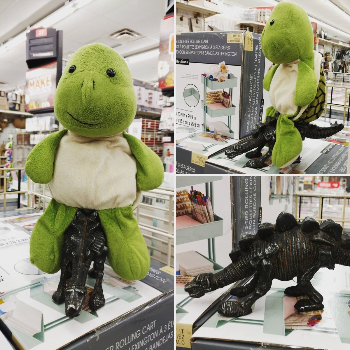 MasolinoTurtle's tweet photo. Hi oh silver steggi, AWAY! #shenanigans @michaelsstores on a boring #Friday night with @ajzipper. #MasolinoTurtle #TurtleLove https://t.co/UVzd4mpvVv