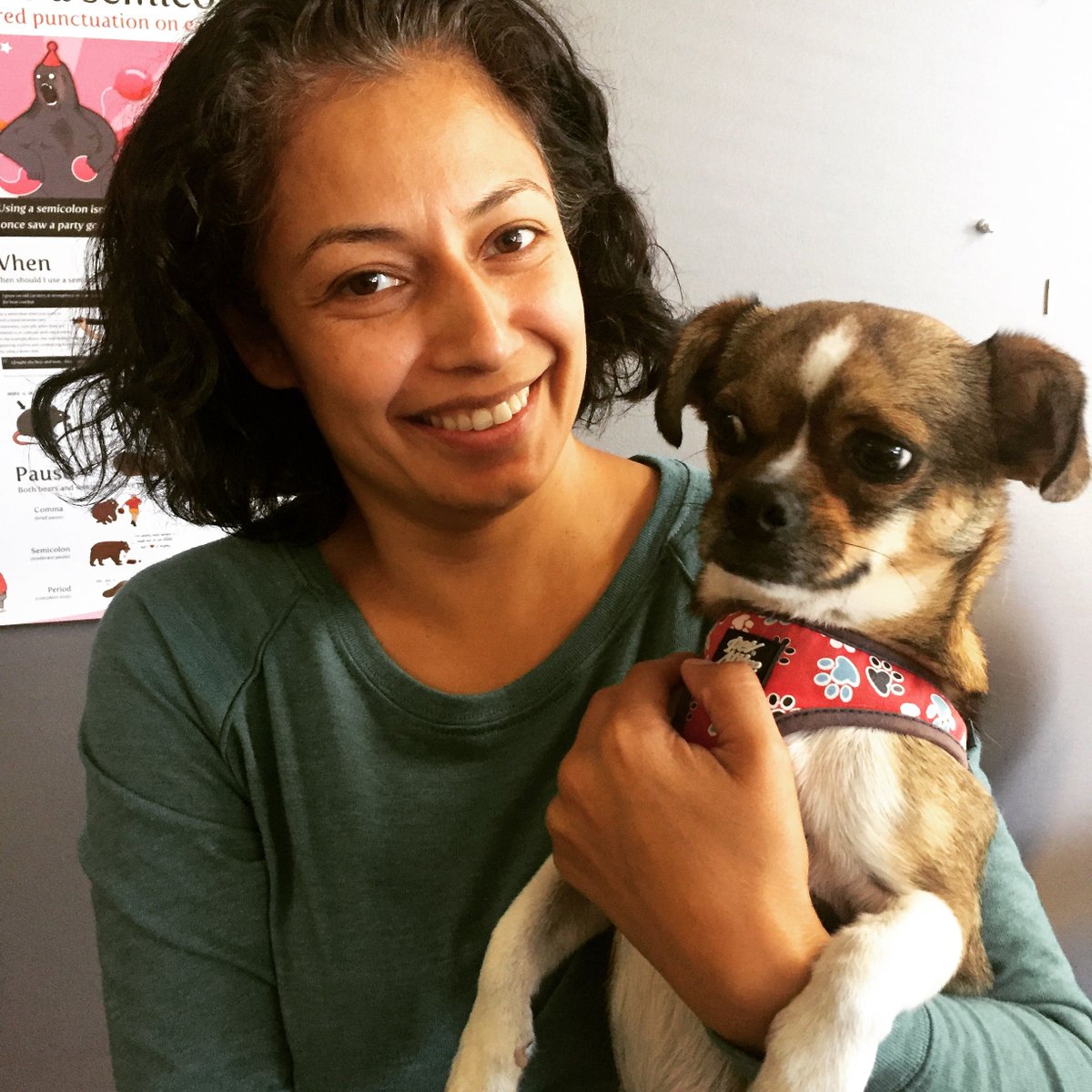 sterlingpr's tweet photo. Meet Buster, our new office dog, and Adriana's furry companion. Welcome to the Sterling team, Adriana and Buster! https://t.co/G1k7epurOR