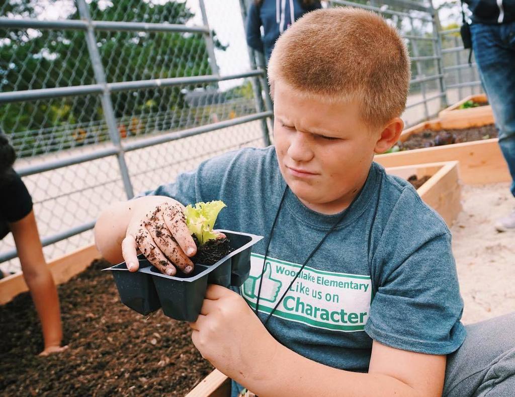 Healthy Planet US tweet media