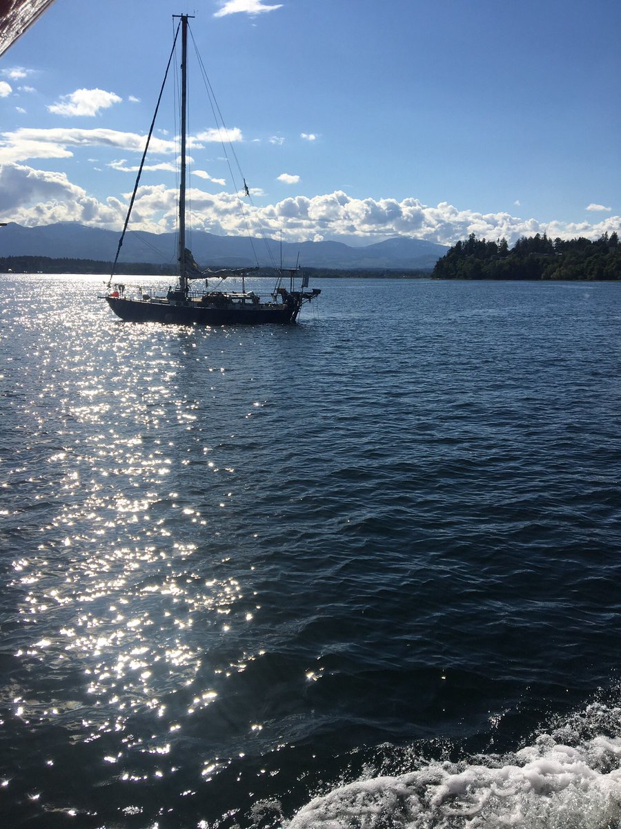 OurCityTonight's tweet photo. Our City Tonight TV visits the BC Shellfish & Seafood Festival airing Saturday930am/Sunday1230am Nationally on @JoytvBC #bcshellfest #comox https://t.co/NMoRKdbBkQ
