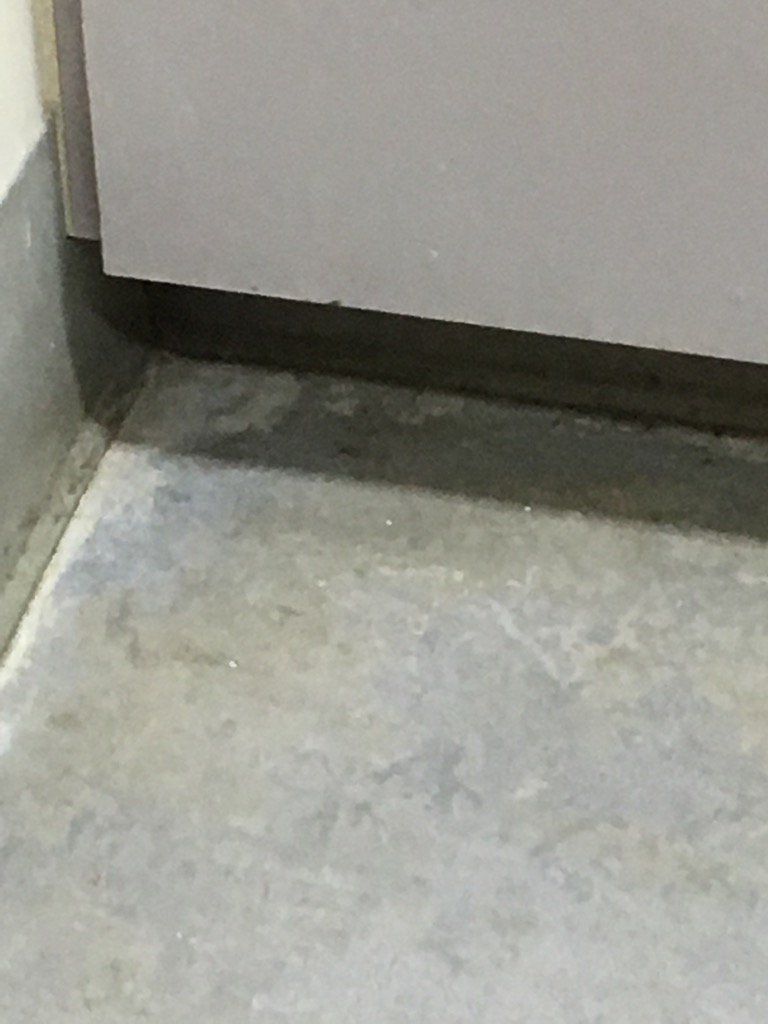 InfoHps's tweet photo. Subway station cleanliness makes the news, but third world filth in local hospitals is ok? Why no outcry?@CTVToronto https://t.co/qosDJ0BOdU