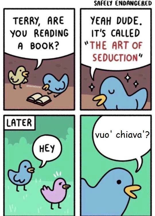 flpsq's tweet image. Latin lover