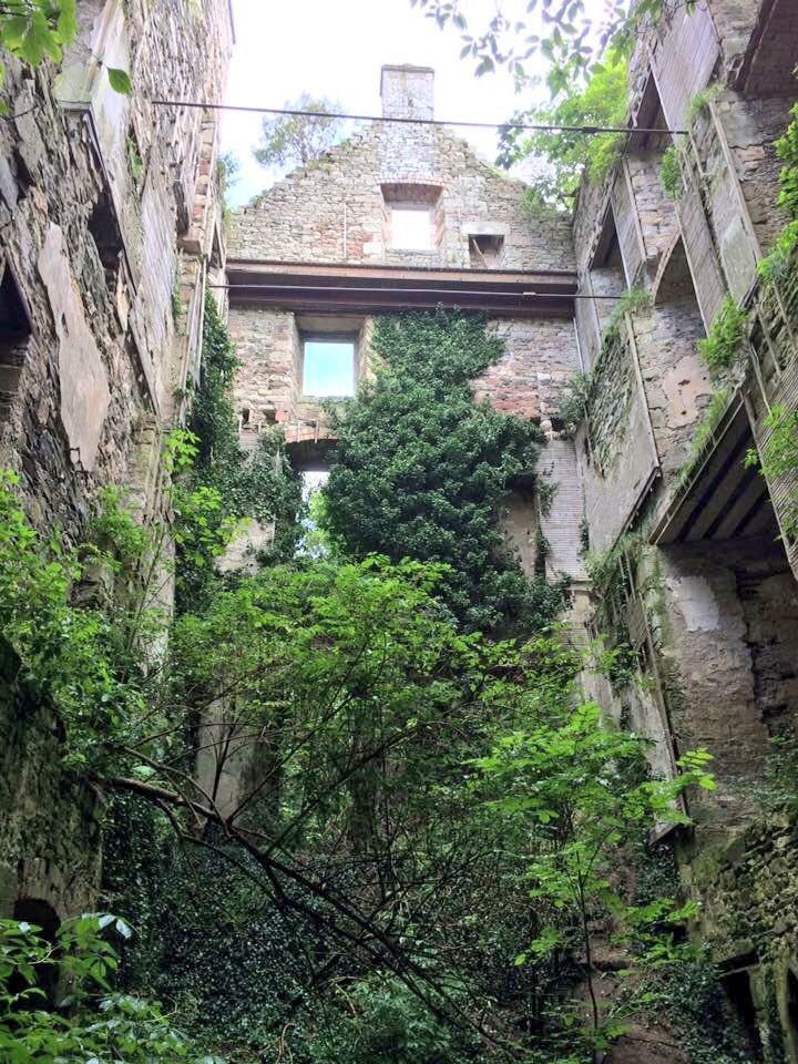 SorchaMacLennan's tweet photo. #CaversCastle #ScottishBorders #Scotland #Sco #Alba #DisabledTourist #TouringScotland https://t.co/6pc4lRqLjf