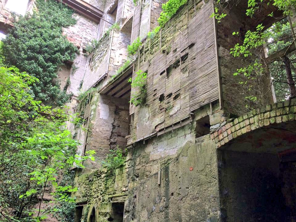 SorchaMacLennan's tweet photo. #CaversCastle #ScottishBorders #Scotland #Sco #Alba #DisabledTourist #TouringScotland https://t.co/6pc4lRqLjf