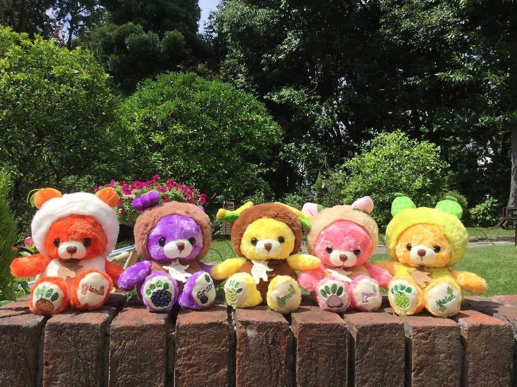新商品✨ フルーツの国シリーズが入荷しました！ カラフルなクマ達が