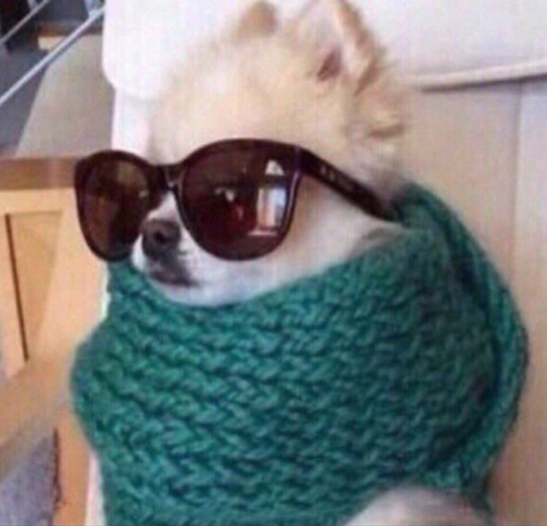 TweetLlkeAGirl's tweet photo. Me when I realize I overreacted and was being a drama queen but it's already too late so I gotta keep my ground. https://t.co/k5I8NXmhEi
