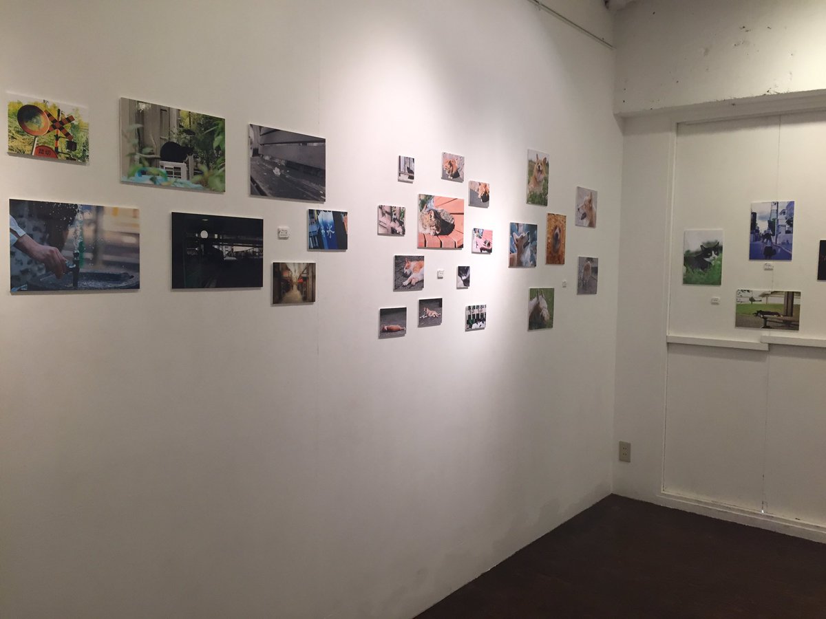 tku_photo's tweet photo. @DFGHarajuku 
東京家政大学写真部写真展！設営完了しました！！
#DFgallery https://t.co/rNKqVKuZeC