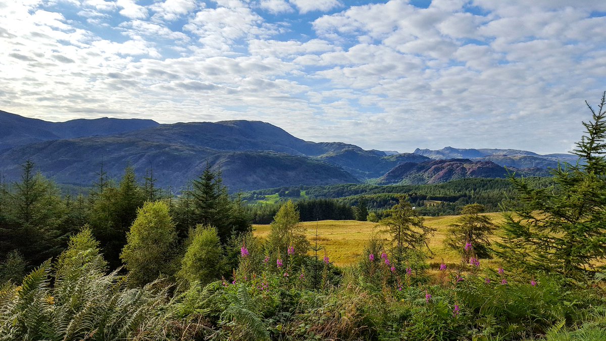 That moment when you have the mountains to yourself...puffed out at the top of a hill

#NotJustLakes #LakeDistrict #weekend