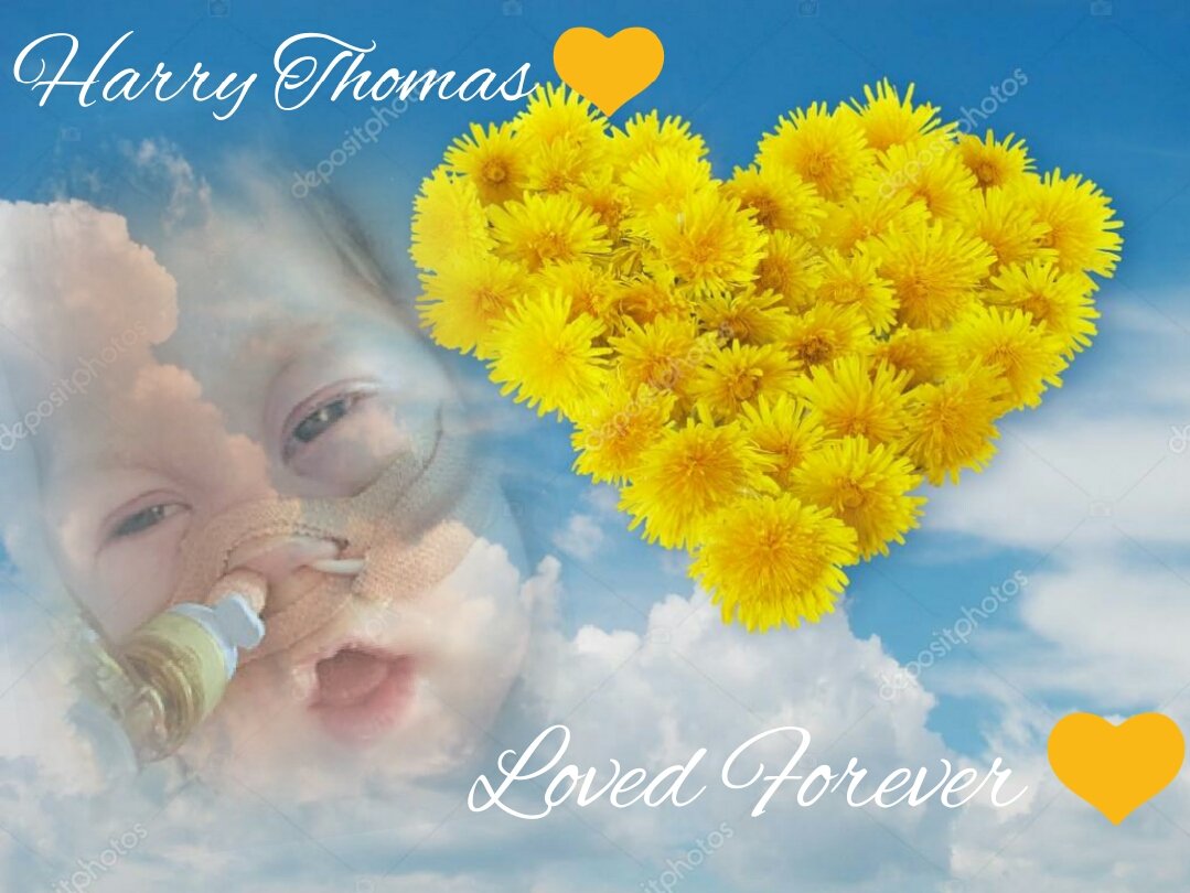 Hope_4_Harry's tweet photo. RIP HARRY THOMAS 💛 still got you on my mind beautiful boy. 6/12/16-25/7/17 💛 love you forever 💛💛💛 https://t.co/wcjxDovwih