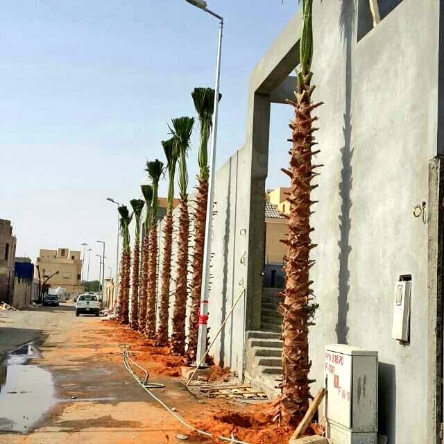 shbock1's tweet photo. #وش_كان_نكك_بالببي
#رايك_بالشباب_اللي_يشترون_شنط
#وش_بخاطرك
#متجحفل_لا_تكلمني
#الاتحاد_الفيحاء
#شمصبرك_علي_تويتر
مؤسسة تركيب👇👇 https://t.co/JpvcquRFbH