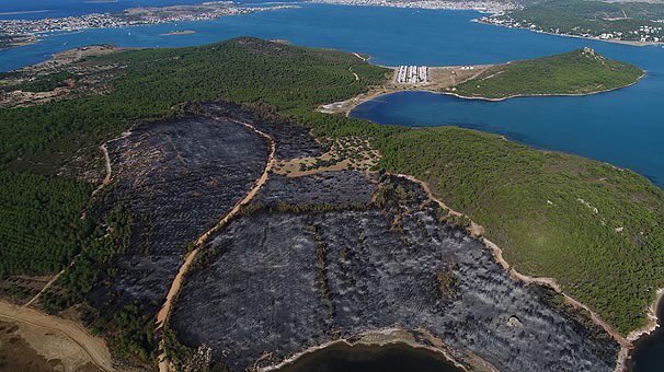 Orman yangını konusunda çok geliştik. Tam tesis yapılacak şekilde yakabiliyoruz artık. Muntazam bir iş.