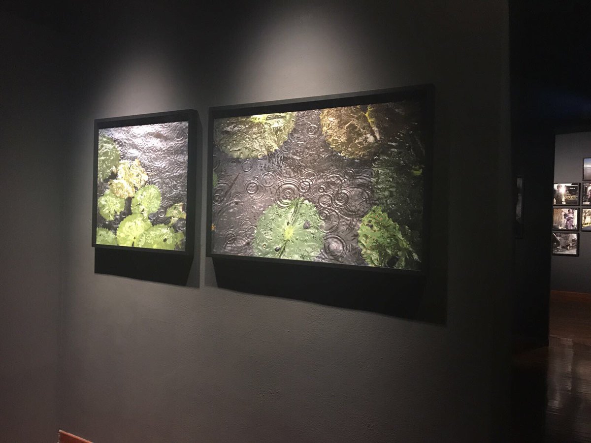 Oggi è la giornata mondiale della #fotografia . Vi aspettiamo con la mostra #womeninbali bit.ly/womenBali