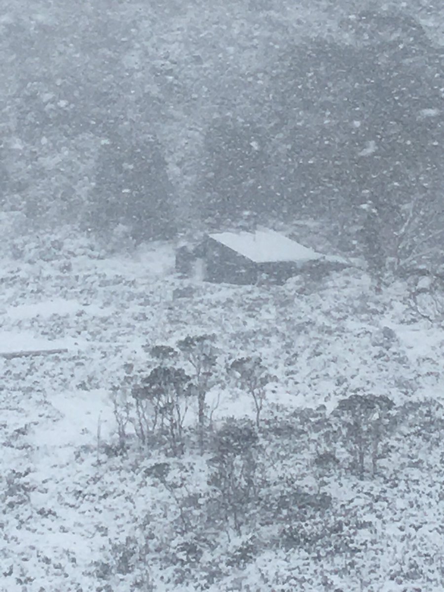 WestpacRSQTAS's tweet photo. @SESTasmania with @WestpacRSQTAS training at CrafleMountain today https://t.co/dQu4HHIPIp