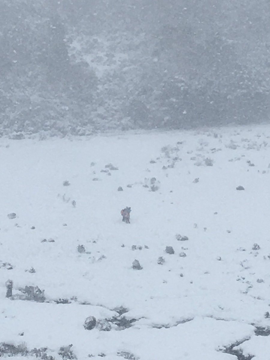 WestpacRSQTAS's tweet photo. @SESTasmania with @WestpacRSQTAS training at CrafleMountain today https://t.co/dQu4HHIPIp