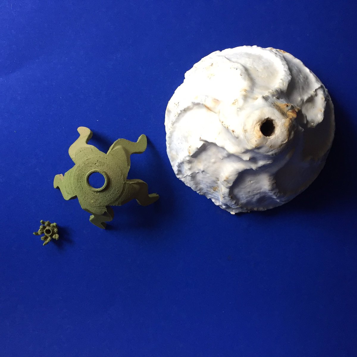Fungus light shade grown in 3Dprint molds. End cap &amp; inner LED diode holder #3dprinted in <a href="/Algix3D/">Algix 3D</a> algae filament. Components 4 a chandelier