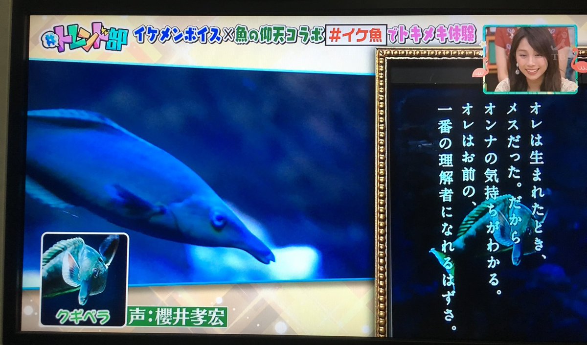 イケ魚