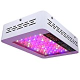 ModePunks's tweet image. Best LED Grow Lights in Canada dlvr.it/Pg5qDq