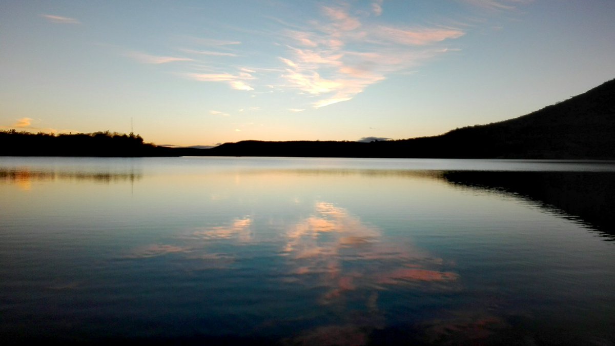 quickpix tweet media