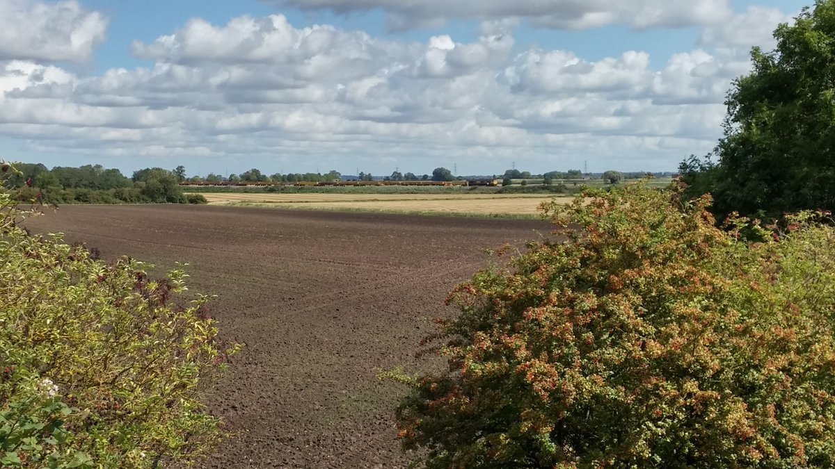 And finally - an engineering train on site #ely photo taken lunchtime Friday.