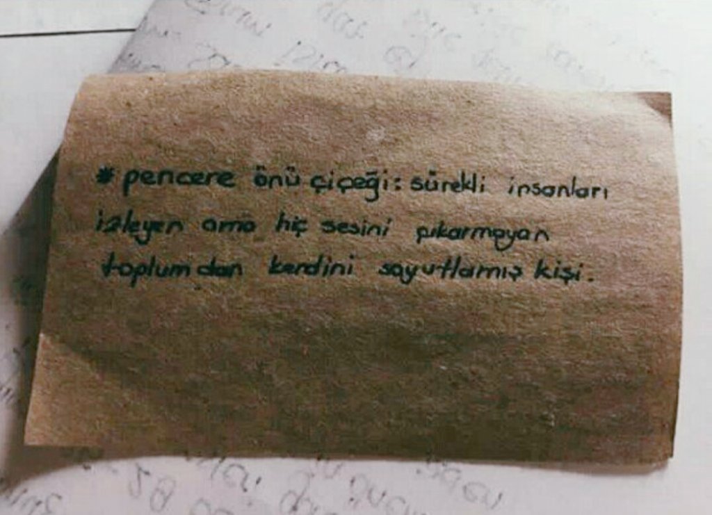 Gogebakalimmm's tweet photo. Pencere önü çiçeği. https://t.co/5609yaUK8g