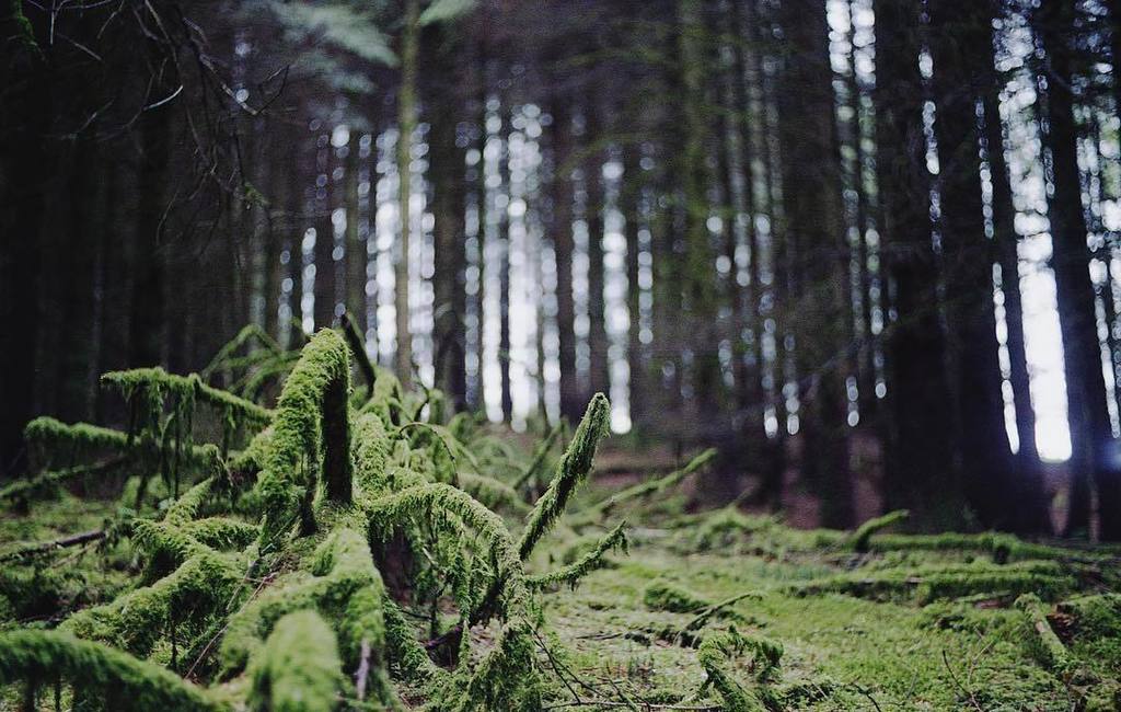 No edit, no crop, no colour no retouching. Straight off the camera 35mm film 🎞✌🏻
⠀⠀⠀⠀⠀⠀⠀⠀⠀
-------
⠀⠀⠀⠀⠀⠀⠀⠀⠀
#expl… ift.tt/2wZBFAh