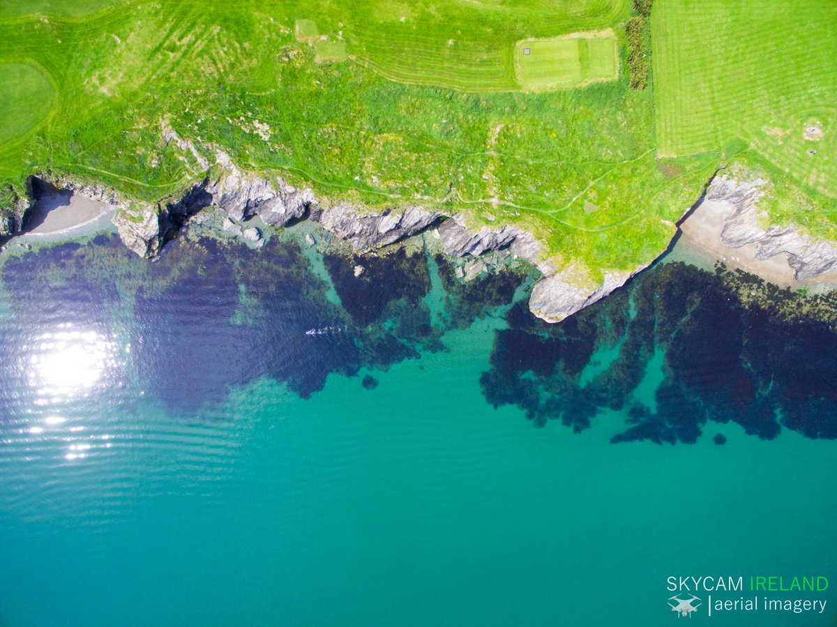 IrelandSkycam's tweet image. Summer days along the coast in Wicklow ☀️