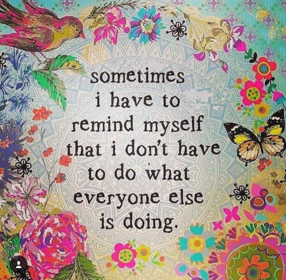 teachergoals's tweet photo. There are infinite ways to teach the standards-be you! #teachergoals https://t.co/kOjxXhDCcX
