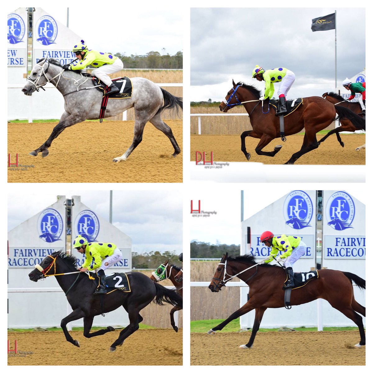 kjbloodstock's tweet photo. 4 winners at Fairview yesterday for owner Braam van Huyssteen #BlackKitten #TheColourPurple #SeattleFlame #Firstimesacharm https://t.co/Gcqp2FE91A
