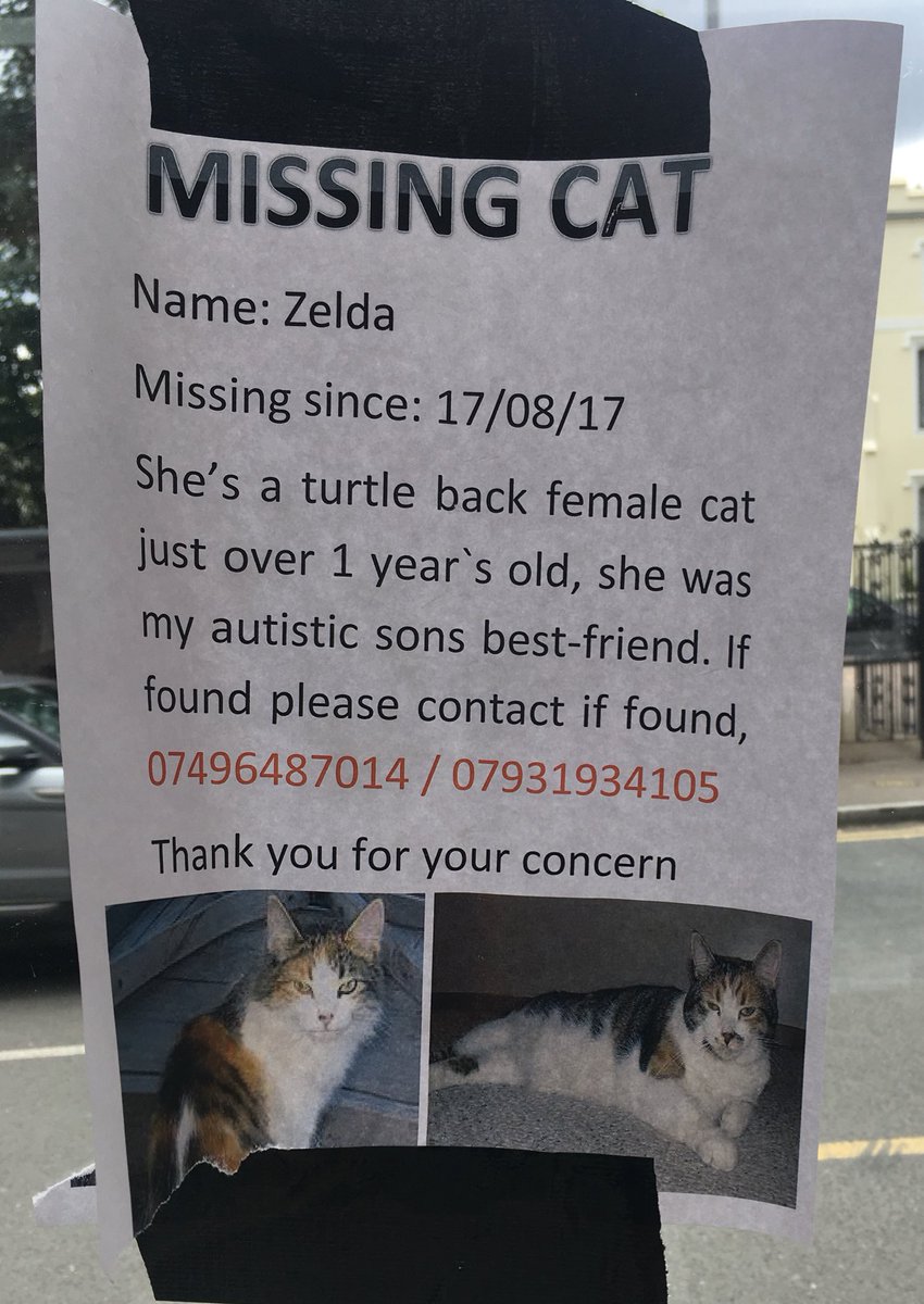 Lostbox - London (@lostboxlon) on Twitter photo RT <a href="/MissingPetsGB/">Missing Pets GB</a>: Please help #lostcat #london #e10 <a href="/LostboxLON/">Lostbox - London</a> <a href="/HelpFindThem14/">HelpFindThem</a> @DoglostUK <a href="/HunnyJax/">Stolen Missing Longtimelost 🐾Where Are They All</a> x RT <a href="/MissingPetsGB/">Missing Pets GB</a>: Please help #lostcat #london #e10 <a href="/LostboxLON/">Lostbox - London</a> <a href="/HelpFindThem14/">HelpFindThem</a> @DoglostUK <a href="/HunnyJax/">Stolen Missing Longtimelost 🐾Where Are They All</a> x