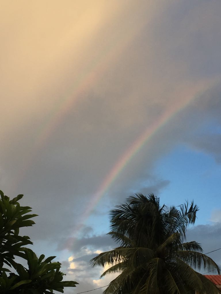 SibasishMishra's tweet image. Two #rainbow at the same time #rareview