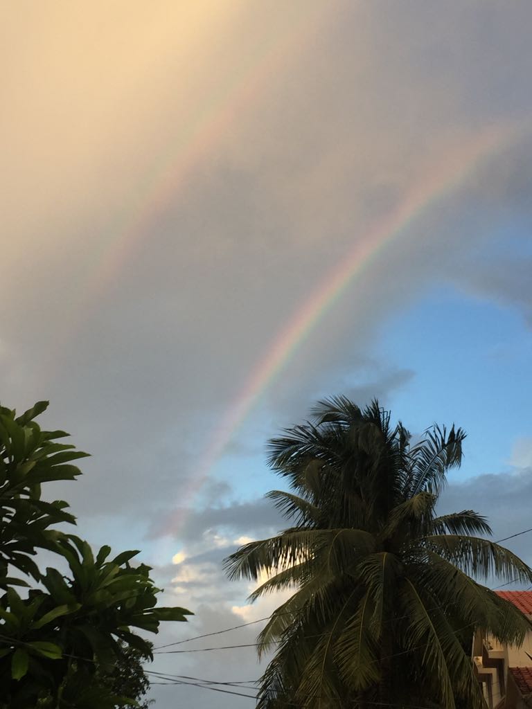SibasishMishra's tweet image. Two #rainbow at the same time #rareview