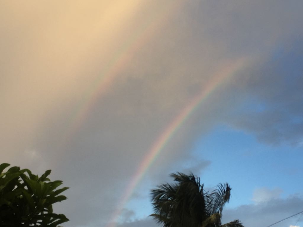 SibasishMishra's tweet image. Two #rainbow at the same time #rareview
