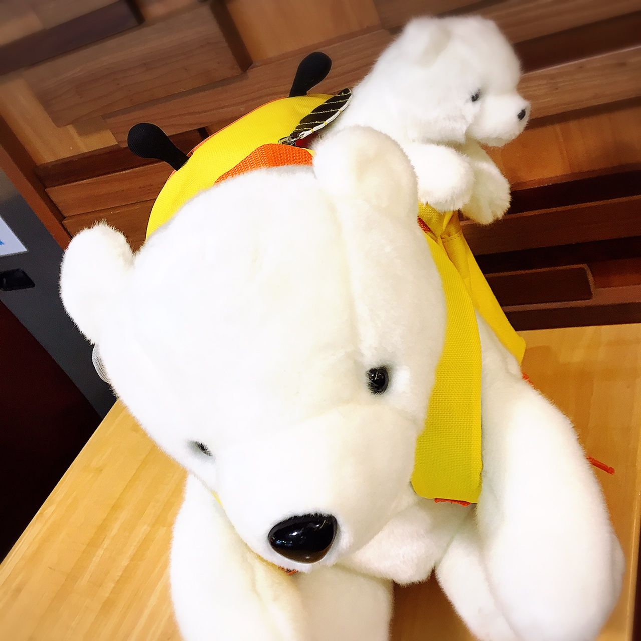 株式会社aqua公式 على تويتر おしゃれでしょ アニマルリュックサック買ったんだっ お気に入りのリュックにお気に入りのぬいぐるみを入れて さぁ出発だっ アニマルリュックサック キッズ用リュックサック しろくま ぬい撮り ぬいぐるみ Amico