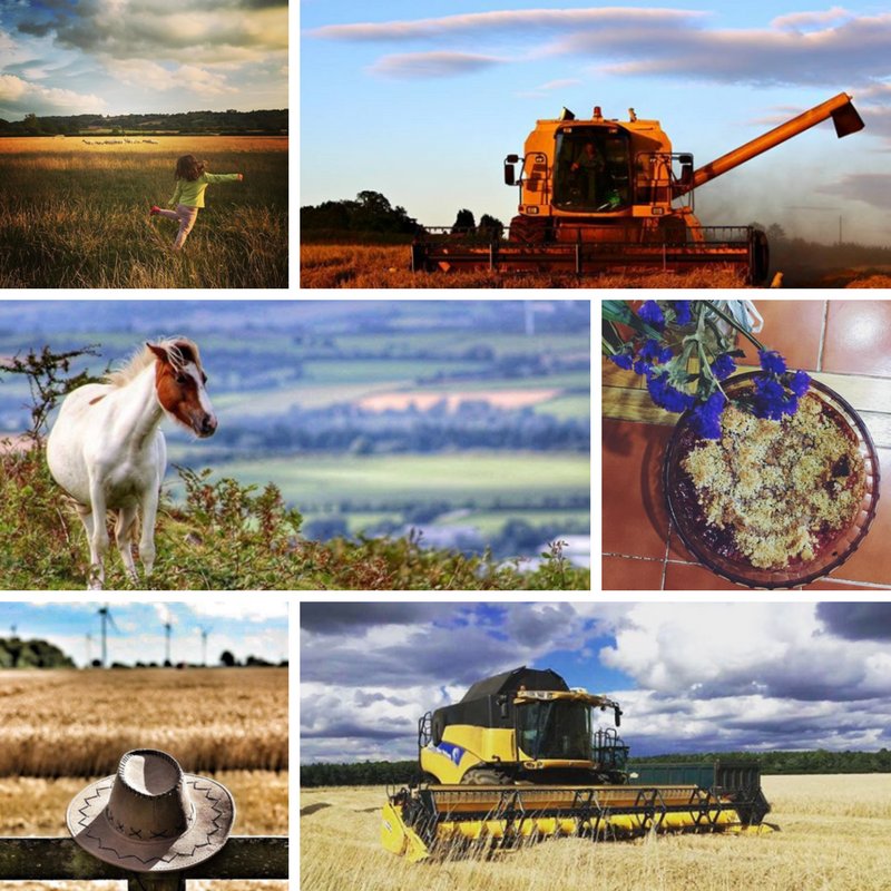 NFUtweets's tweet photo. Enter our Instagram #SummerPhotoComp today https://t.co/h1HFDUS8wc https://t.co/lCR4e4JwVP