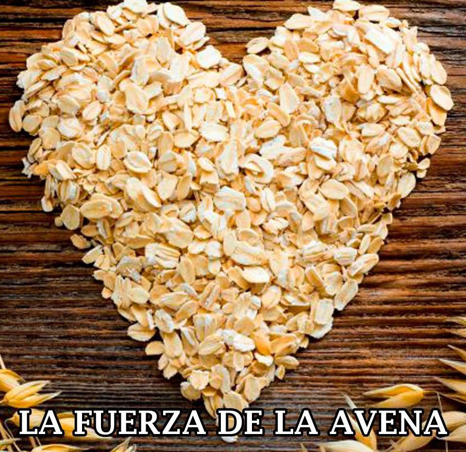 tequierobio's tweet photo. ¿#PielDelicada? La #avena es tu talismán.
Descubre todo lo que puede aportar la avena a tu piel👉https://t.co/A9yqWacXdF
#TeQuieroBio https://t.co/CaWXW1mB3R
