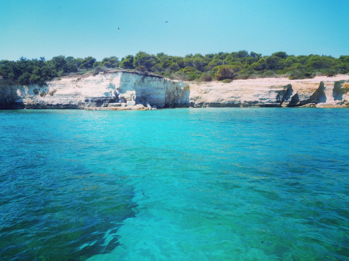 barcasalento's tweet photo. Into the #wild
#salento #Escursionisalento #vistaterrasalento #sempreprontiasalpare #weareinpuglia #mareadriatico #torresantandrea https://t.co/HU7AXGXYV1