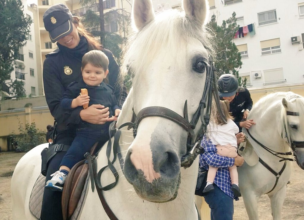 Policía Nacional tweet media