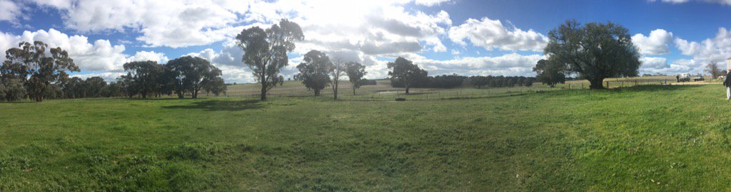 langbrosracing's tweet photo. This blank canvas will soon become the home of Lang Brothers Bloodstock #excitingtimes #kingsvale  #langpark https://t.co/t3z3vlUJu4