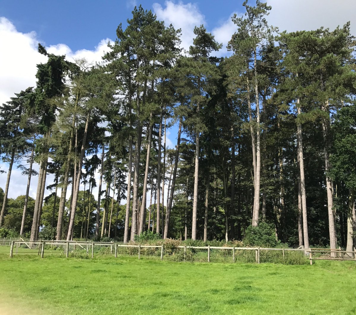 Fantastic meeting with a local venue this week to discuss our next styled shoot! Amazing photo opportunities with these surroundings.