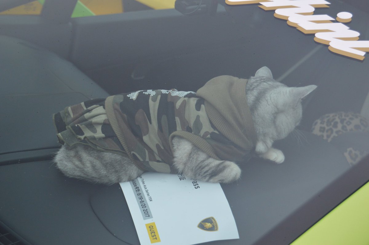 ABA_31212Hiro's tweet photo. 今日の様子を少しだけ...
#バレンティーノバルボーニ
#アクラポヴィッチ
#とらこ
#AventadorSV
#LBAventador
#スワロフスキー
#STARDROPPER https://t.co/SDNp4zNEYR