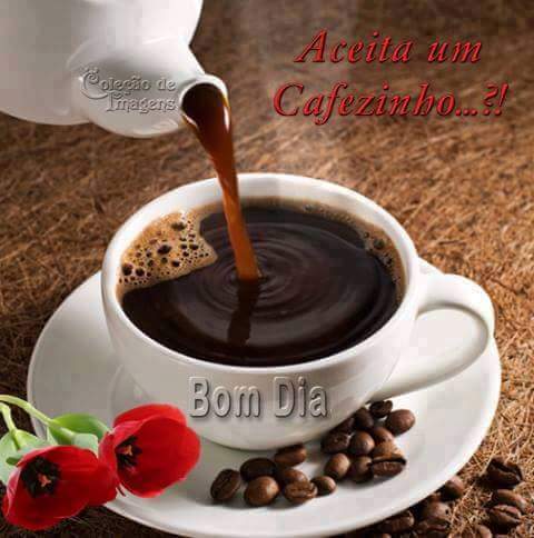 Germano Vital (@germanovital43) on Twitter photo 