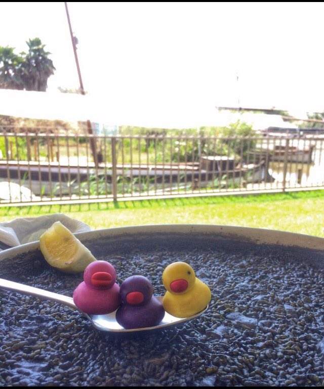 RteElRek's tweet photo. #arroznegro
#elrek
#albufera
#elpalmar https://t.co/ld0wZlVCFz