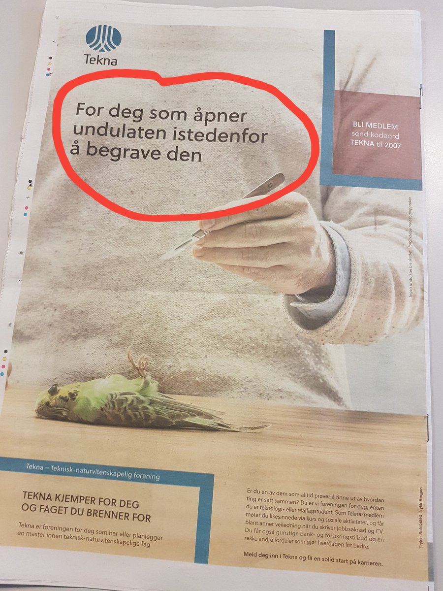 AdrianBrudvik's tweet photo. Reklame handler om å treffe sin målgruppe, uansett hvor liten den måtte være. https://t.co/ug3JXPnMSf