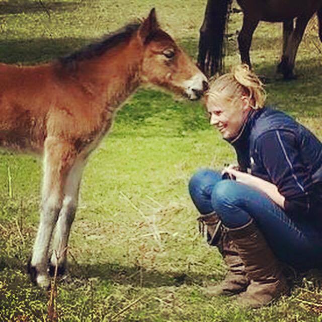Do you LOVE ponies? Could you eat one? Me either support us, support the pony keepers  #hillpony #fundraising #pony ow.ly/BTLe30ewL4M