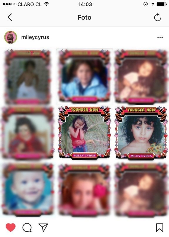 joselyn,,✧ tweet media